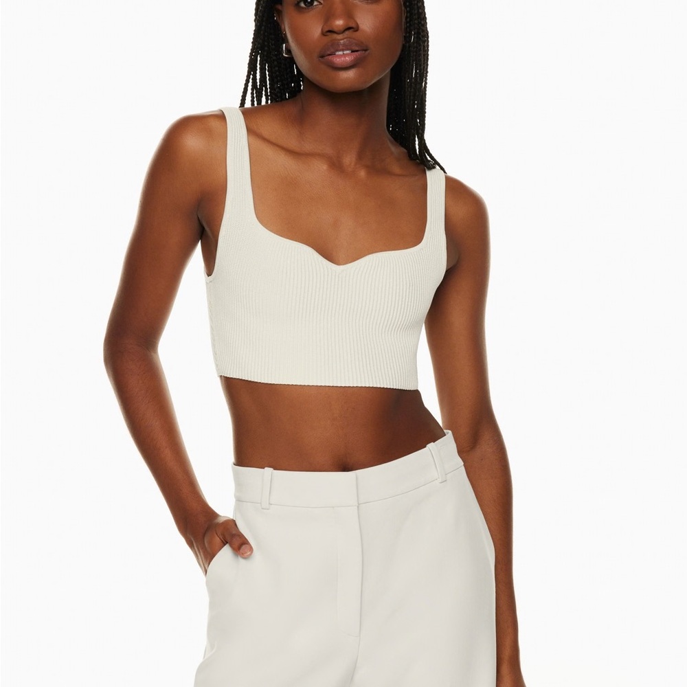Aritzia Babaton Ribbed Cropped Notch Top